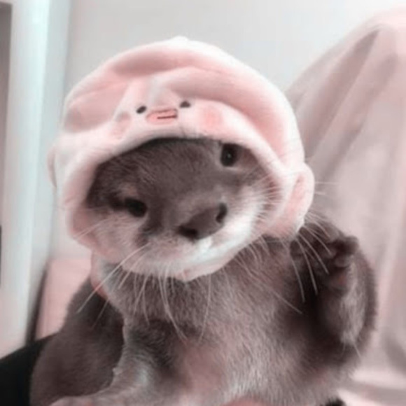 santafortoday